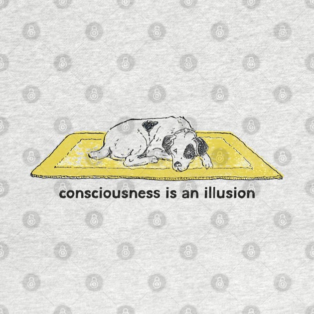 Consciousness Is An Illusion by DankFutura